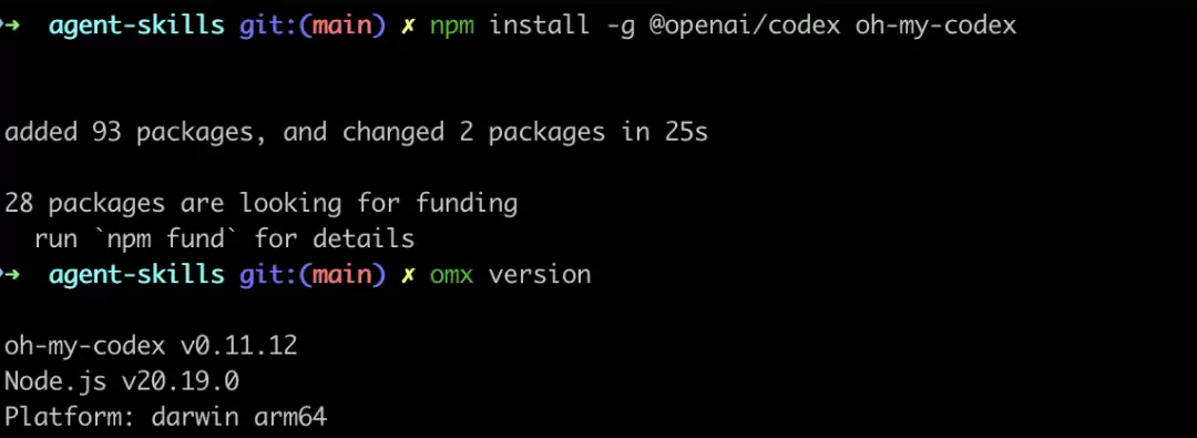 安装完成后先确认 Codex 和 OMX 都可用