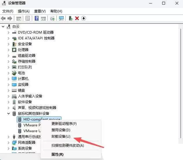 鼠标滚轮失灵了怎么修复? Windows系统解决鼠标滚轮失灵功能的技巧
