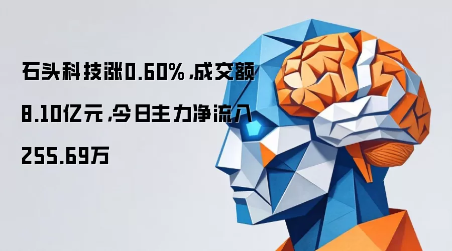 石头科技涨0.60%，成交额8.10亿元，今日主力净流入255.69万