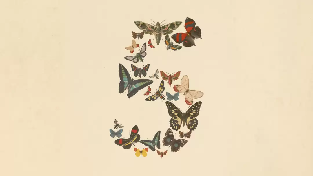 Claude Fable 5 和 Mythos 5 发布