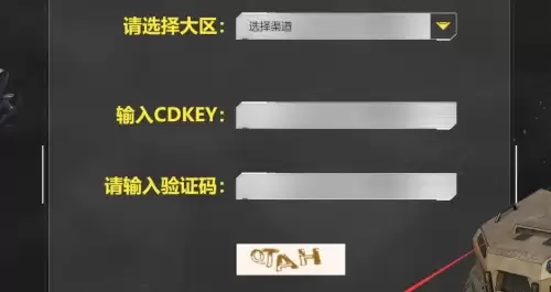 使命召唤手游兑换码在哪里输入20262