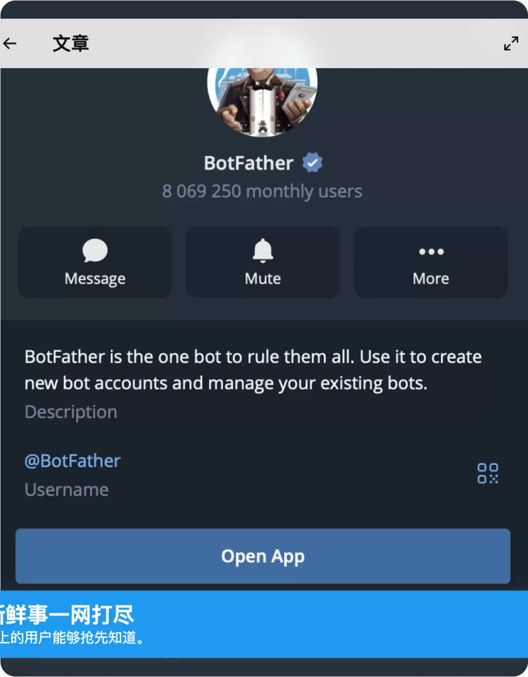 原文截图 9：Telegram BotFather 示例