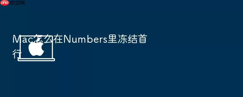Mac怎么在Numbers里冻结首行