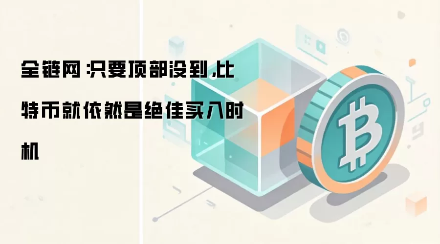 全链网：比特币链上数据与顶部信号分析图