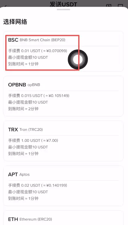 3. BEP20（币安智能链）：币安生态专用