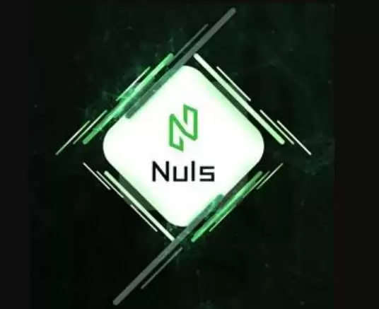 什么是NULS币？NULS工作原理、未来展望及价格预测