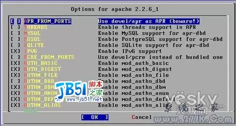 FreeBSD 6.2架设网站服务器教程图解