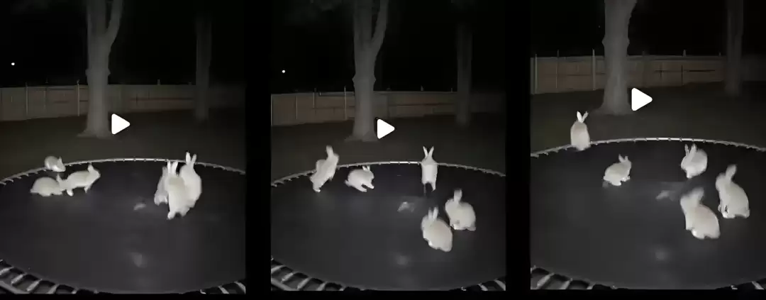 \