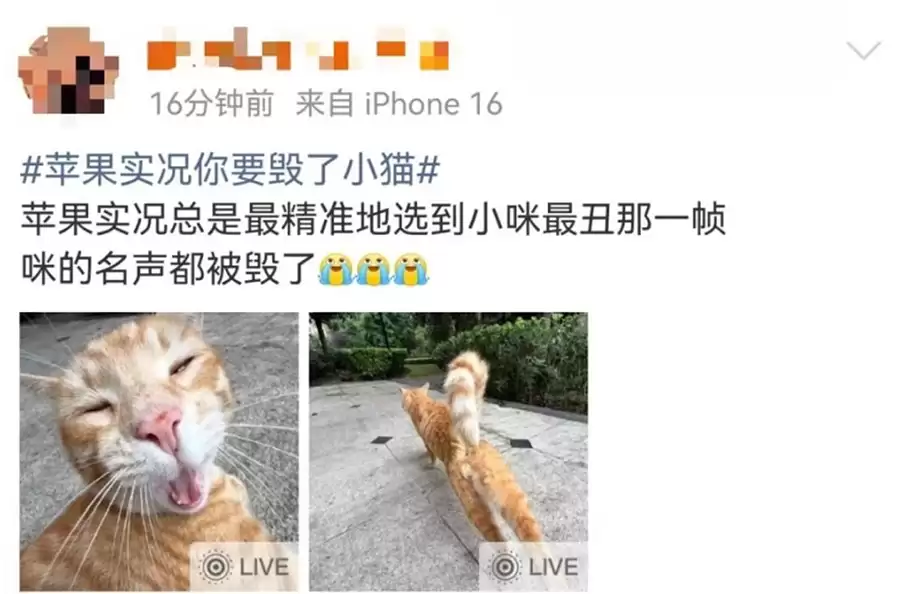 苹果原生功能又爆雷:输入法联想词离谱,实况照片专拍最丑瞬间 苹果原生功能又爆雷:输入法联想词离谱,实况照片专拍最丑瞬间