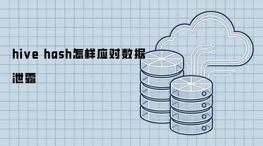 hive hash怎样应对数据泄露