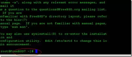 FreeBSD如何添加硬盘?FreeBSD添加硬盘的方法