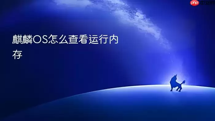 麒麟OS怎么查看运行内存