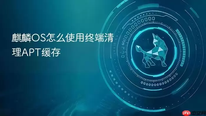 麒麟OS怎么使用终端清理APT缓存