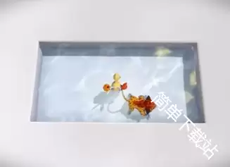 干净的水