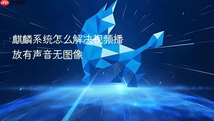 麒麟系统怎么解决视频播放有声音无图像