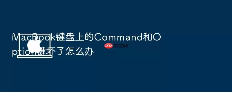 MacBook键盘上的Command和Option键坏了怎么办