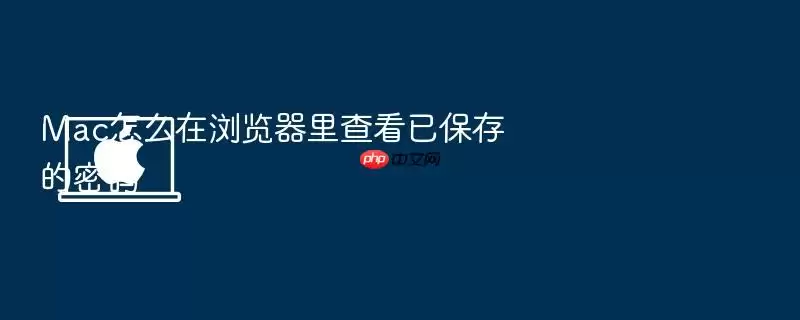 Mac怎么在浏览器里查看已保存的密码