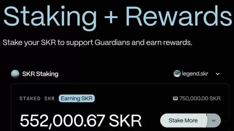 SKR币是什么币种？SKR币2026年值得持有吗？