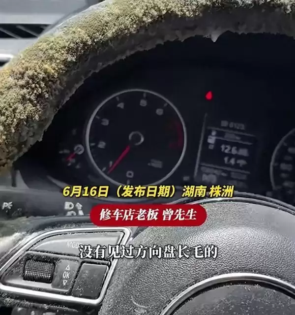 车停地库一个多月方向盘和座椅长满了霉菌！修车老板：从业多年头回见