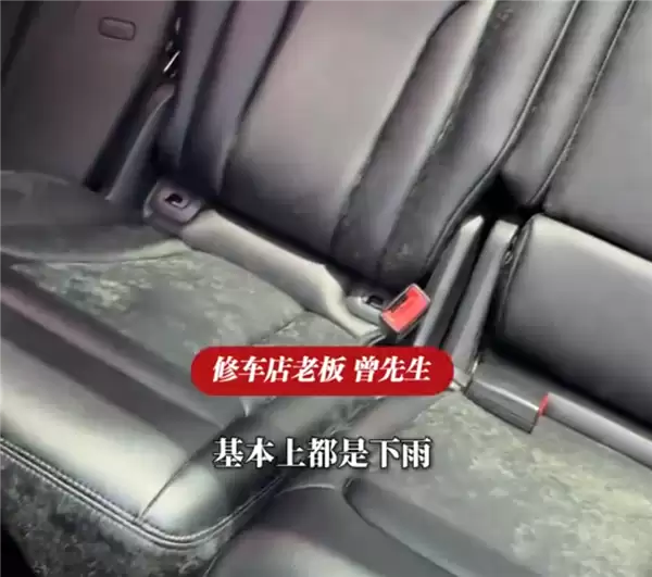 车停地库一个多月方向盘和座椅长满了霉菌！修车老板：从业多年头回见