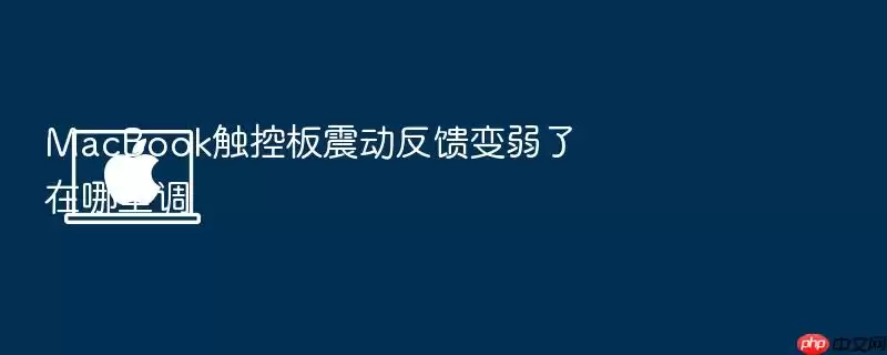 MacBook触控板震动反馈变弱了在哪里调