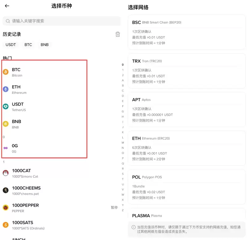 选择要转入币安的币种与网络