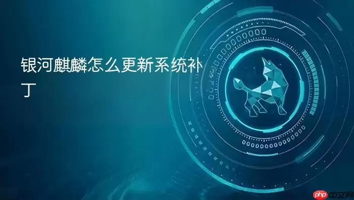 银河麒麟怎么更新系统补丁