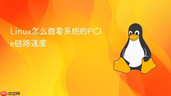Linux怎么查看系统的PCIe链路速度