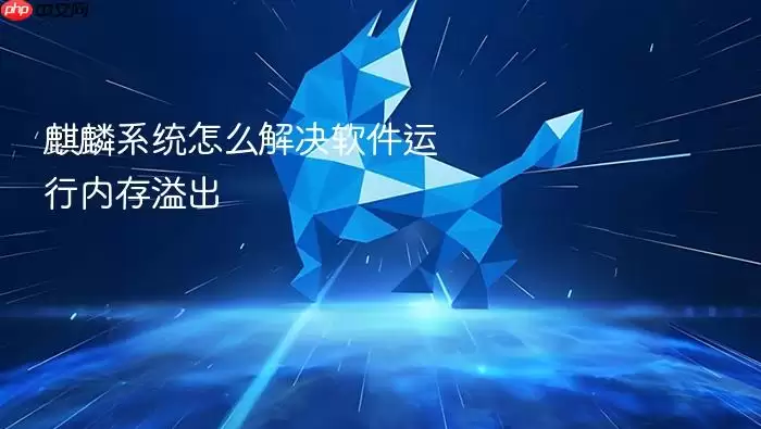 麒麟系统怎么解决软件运行内存溢出