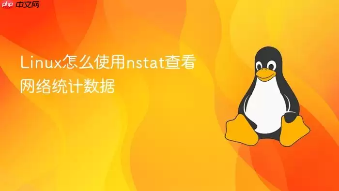 Linux怎么使用nstat查看网络统计数据
