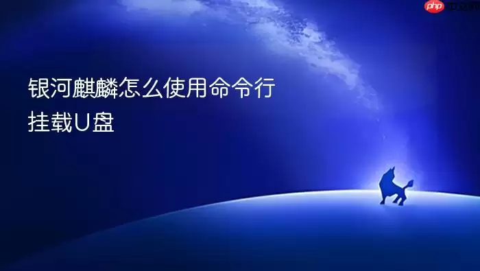 银河麒麟怎么使用命令行挂载U盘