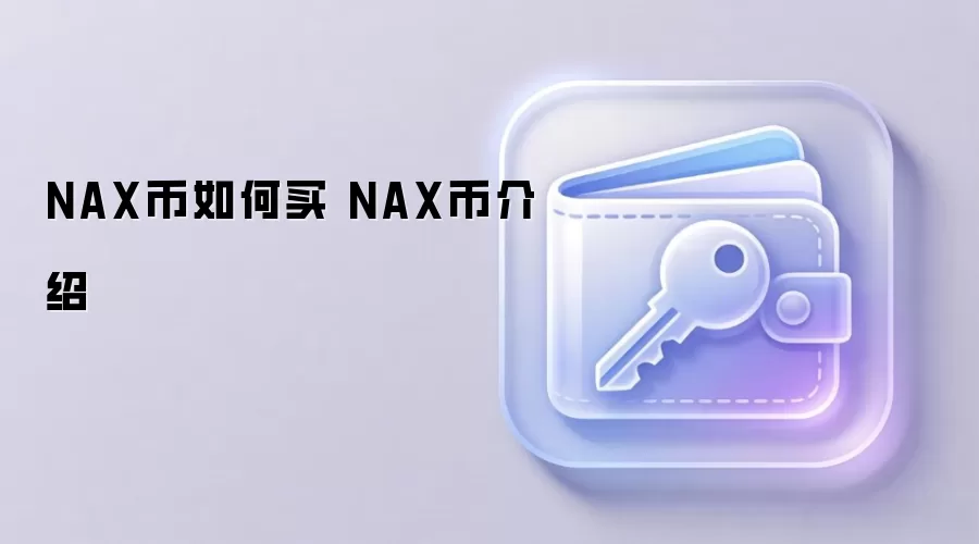 NAX币如何买 NAX币介绍