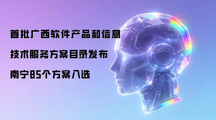 首批广西软件产品和信息技术服务方案目录发布  南宁85个方案入选