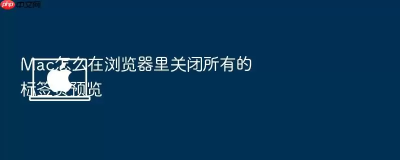 Mac怎么在浏览器里关闭所有的标签页预览