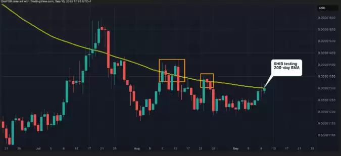 狗狗币鲸鱼将代币储备增至100亿,柴犬可能突破日均线200