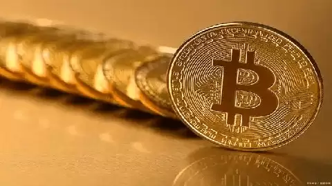 以太坊创始人维塔利克·布特林阐述数据层核心价值