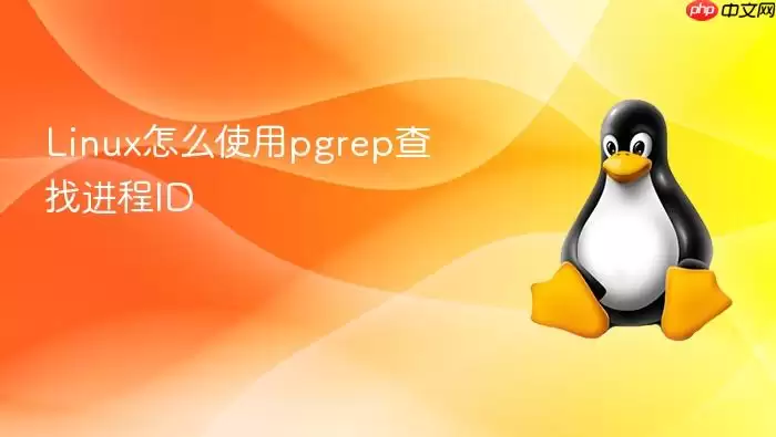 Linux怎么使用pgrep查找进程ID