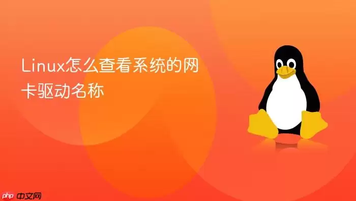 Linux怎么查看系统的网卡驱动名称