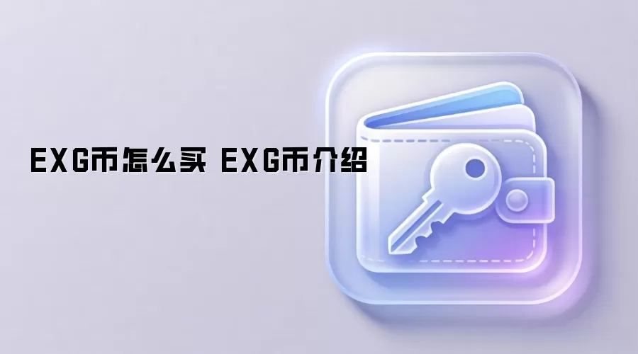 EXG币怎么买 EXG币介绍