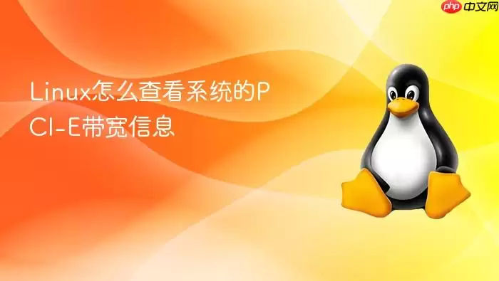 Linux怎么查看系统的PCI-E带宽信息