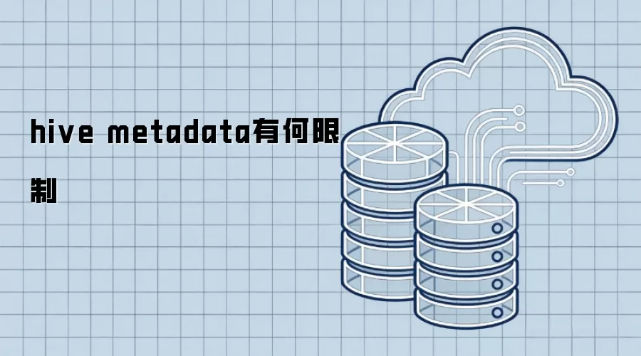 hive metadata有何限制