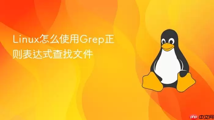 Linux怎么使用Grep正则表达式查找文件