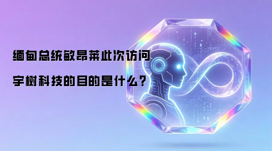 缅甸总统敏昂莱此次访问宇树科技的目的是什么？