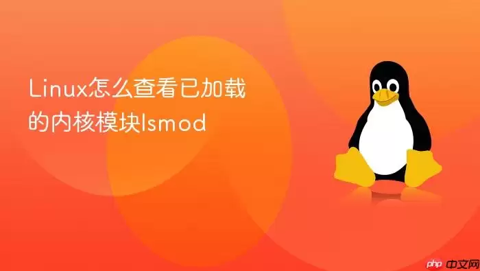 Linux怎么查看已加载的内核模块lsmod