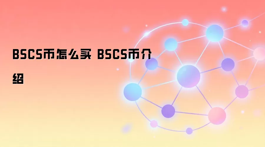 BSCS币怎么买 BSCS币介绍