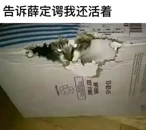 最反常618：商家们开始逃离低价！