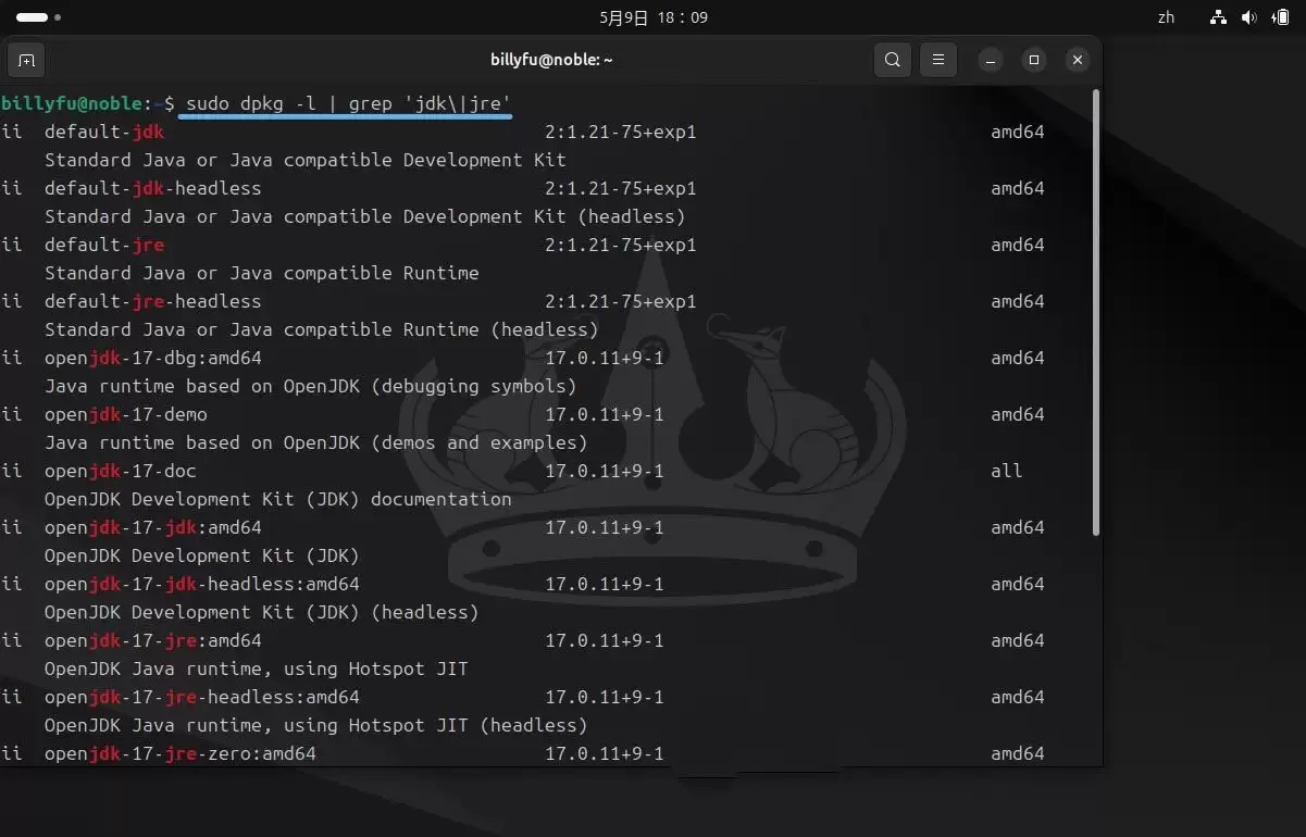 Ubuntu 24.04 LTS怎么安装和卸载Ja va?