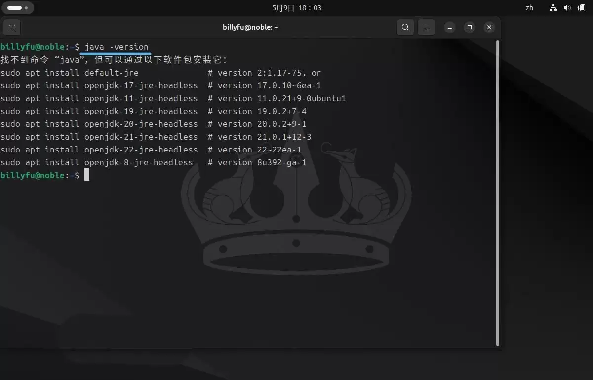 Ubuntu 24.04 LTS怎么安装和卸载Ja va?