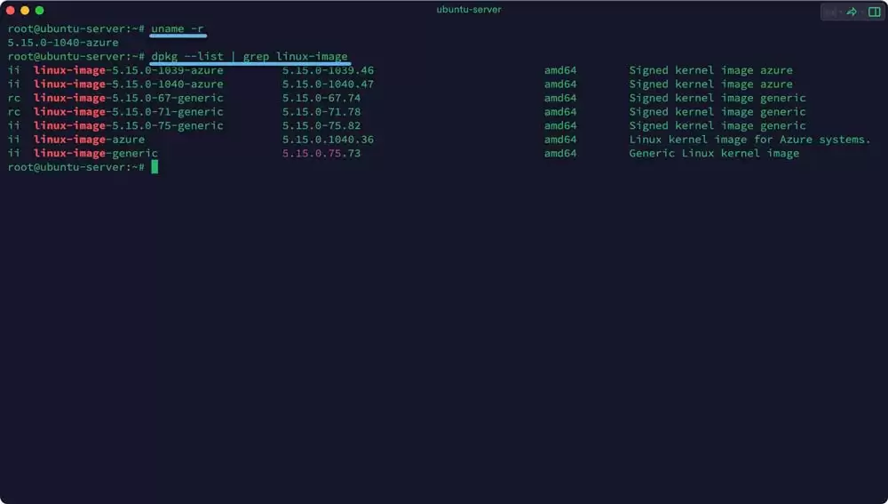 如何在 Ubuntu 中删除多余内核? 3种ubuntu卸载内核的技巧