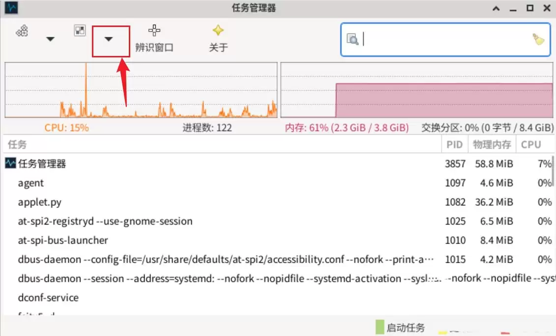 Debian11怎么查看虚拟内存使用情况? 查看进程占用虚拟内存技巧